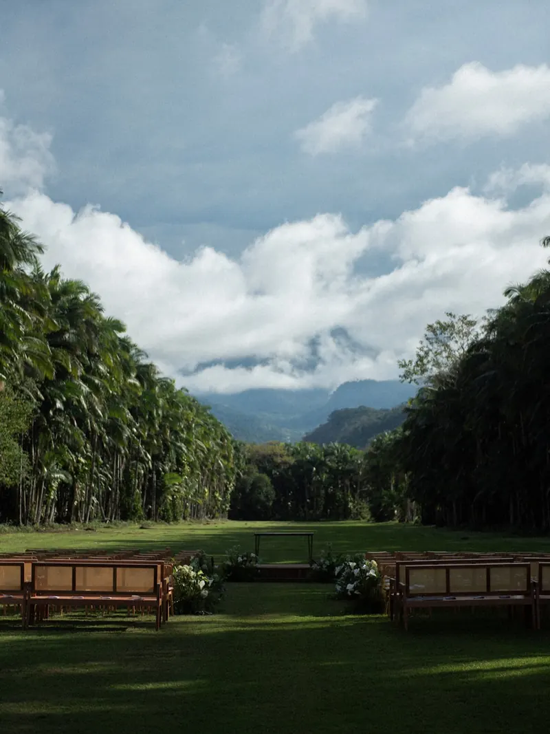 O altar no fim da alameda, entre duas fileiras de palmeiras imperiais, com a Serra do Mar ao fundo